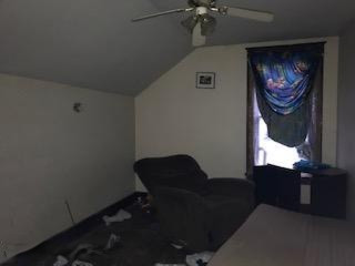 319 Rice Street Ionia, MI 48846 - Photo 28 of 30 IMG_4104