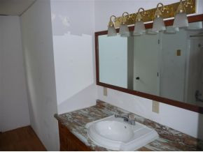 790 Bill Jones Road Afton, TN 37616 - Photo 6 of 9 new countertop and sink