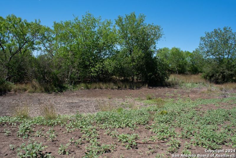 Tract 9 Fm 1332 Jourdanton, TX 78026 - Photo 14 of 20 a view of outdoor space and yard