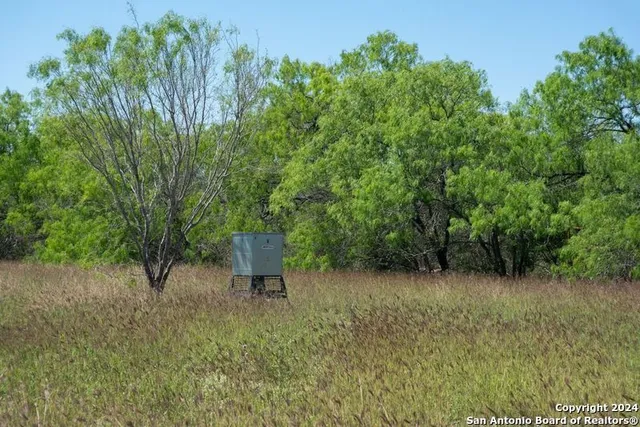 a view of outdoor space and garden