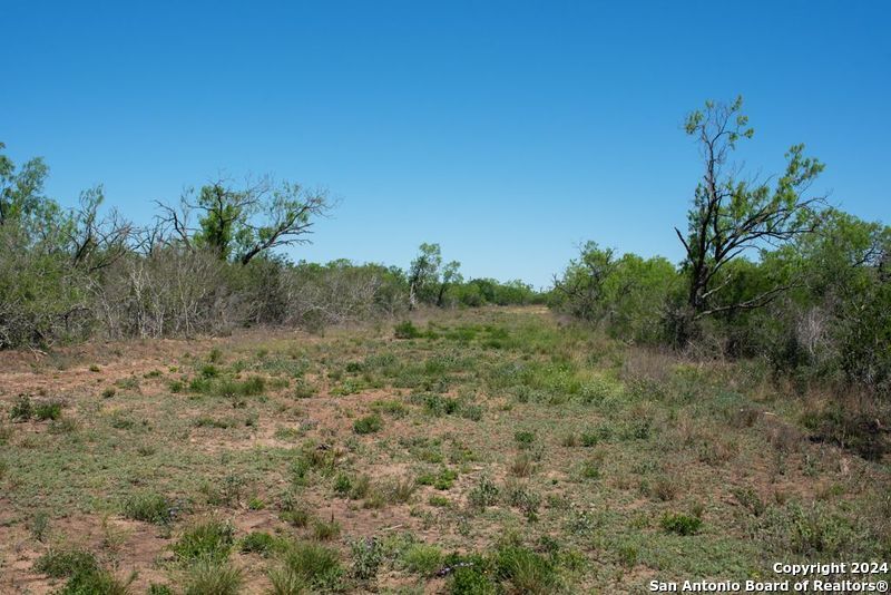 Tract 9 Fm 1332 Jourdanton, TX 78026 - Photo 9 of 20 a view of a dry yard with trees