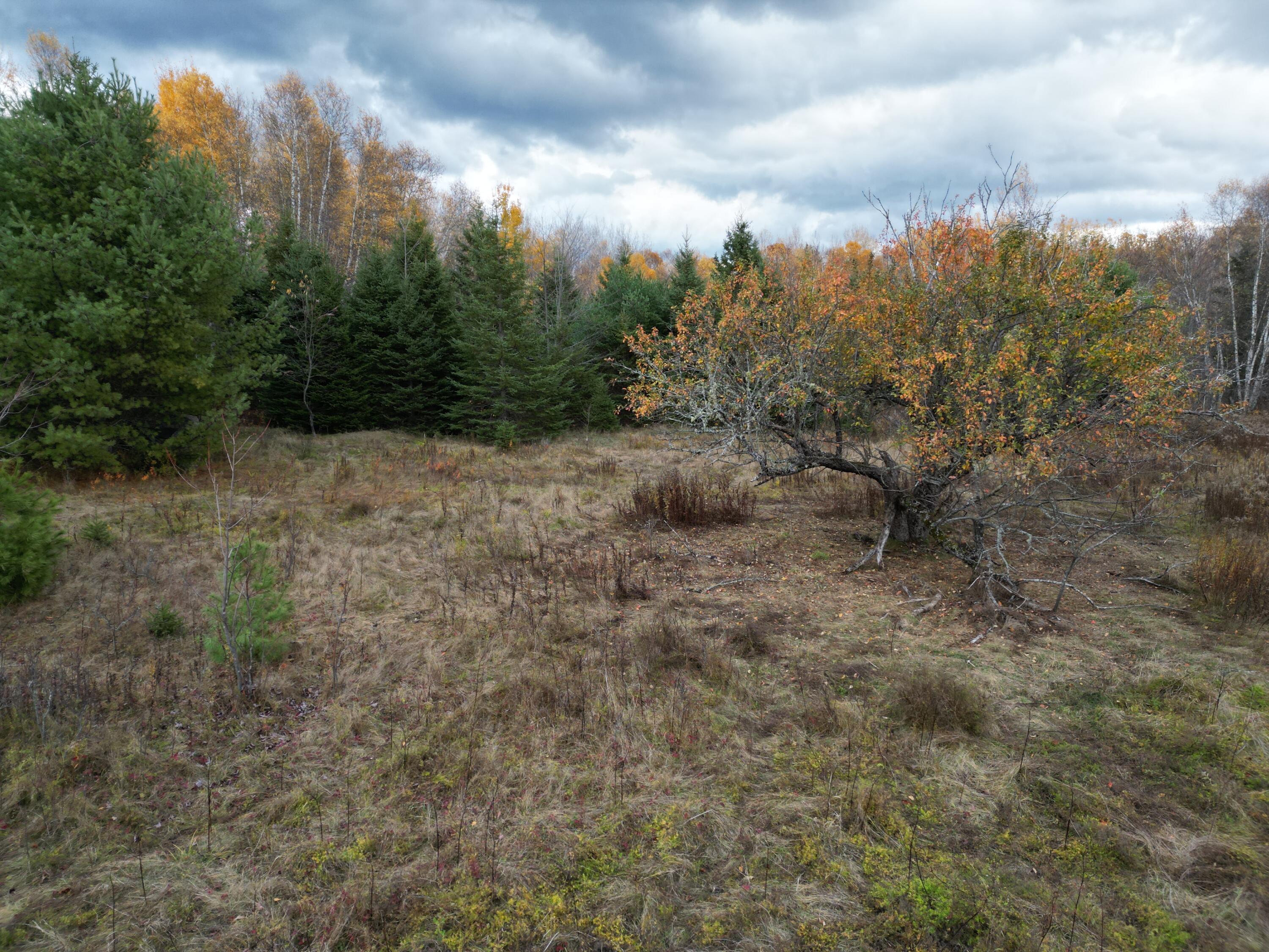 1060 Kingman Road Kingman, ME 04451 - Photo 19 of 21 DJI_0048