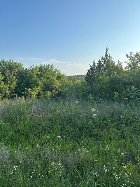 Tbd Donahoe Road Coldspring, TX 77331 - Photo 2 of 6 a view of a lush green space with sea