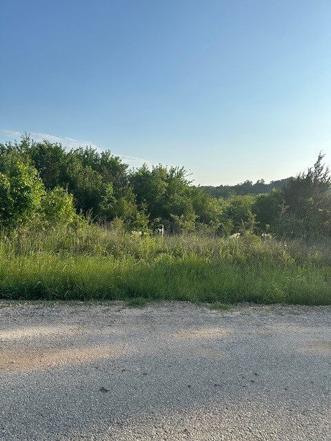 Tbd Donahoe Road Coldspring, TX 77331 - Photo 3 of 6 a view of a yard with a tree
