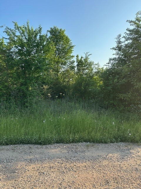 Tbd Donahoe Road Coldspring, TX 77331 - Photo 4 of 6 a view of a pathway of a park