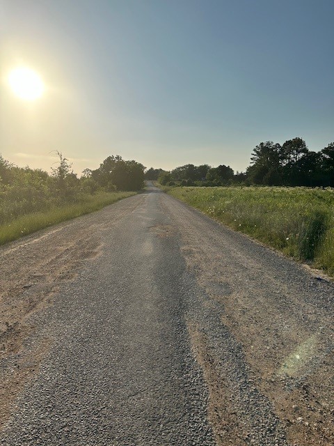 Tbd Donahoe Road Coldspring, TX 77331 - Photo 5 of 6 a view of mountain with lake view