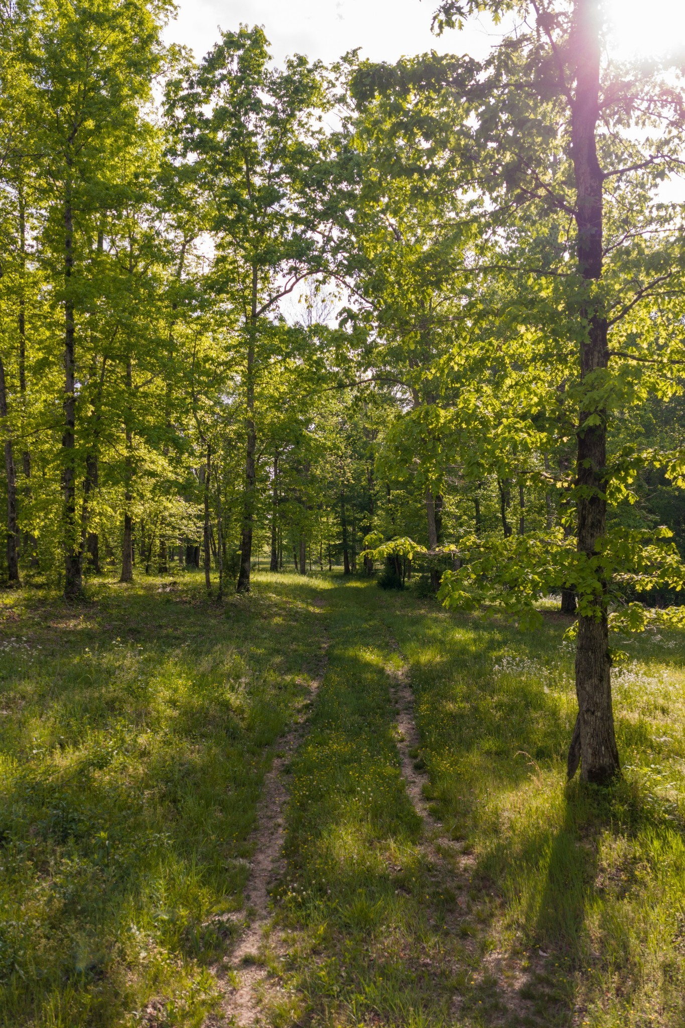 6415 Pinewood Road Nunnelly, TN 37137 - Photo 20 of 94 Gallery Image 20