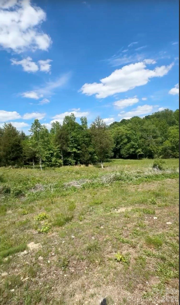 1739 Westbrook Road Edgemoor, SC 29712 - Photo 45 of 48