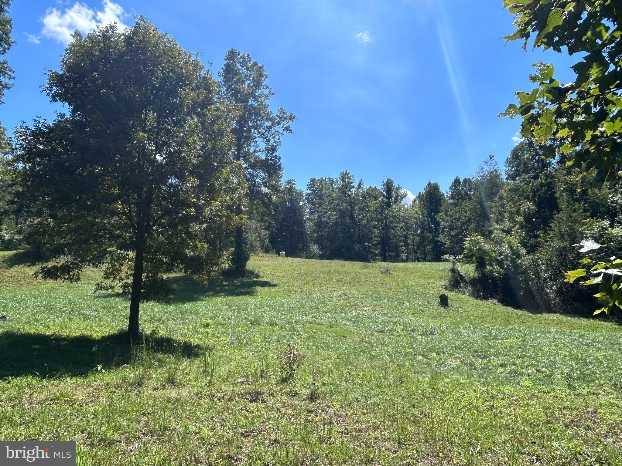 301 Dulaney Mountain Road Madison, VA 22719 - Photo 25 of 28 Gallery Image 25