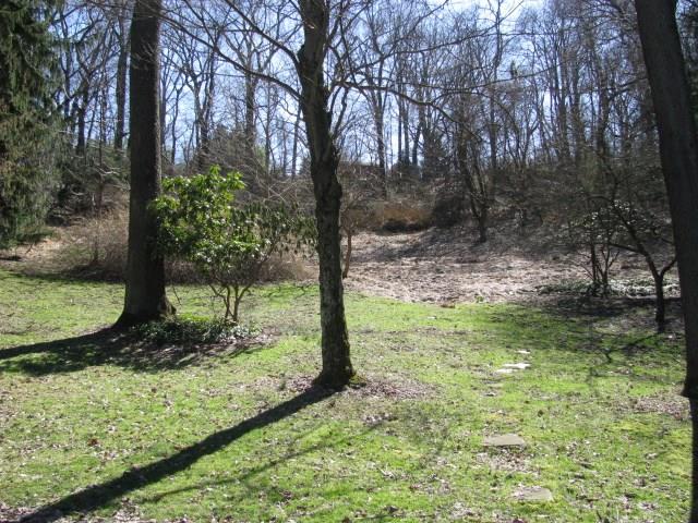 173 West Ingomar Road Pittsburgh, PA 15237 - Photo 20 of 20 Back yard from patio.