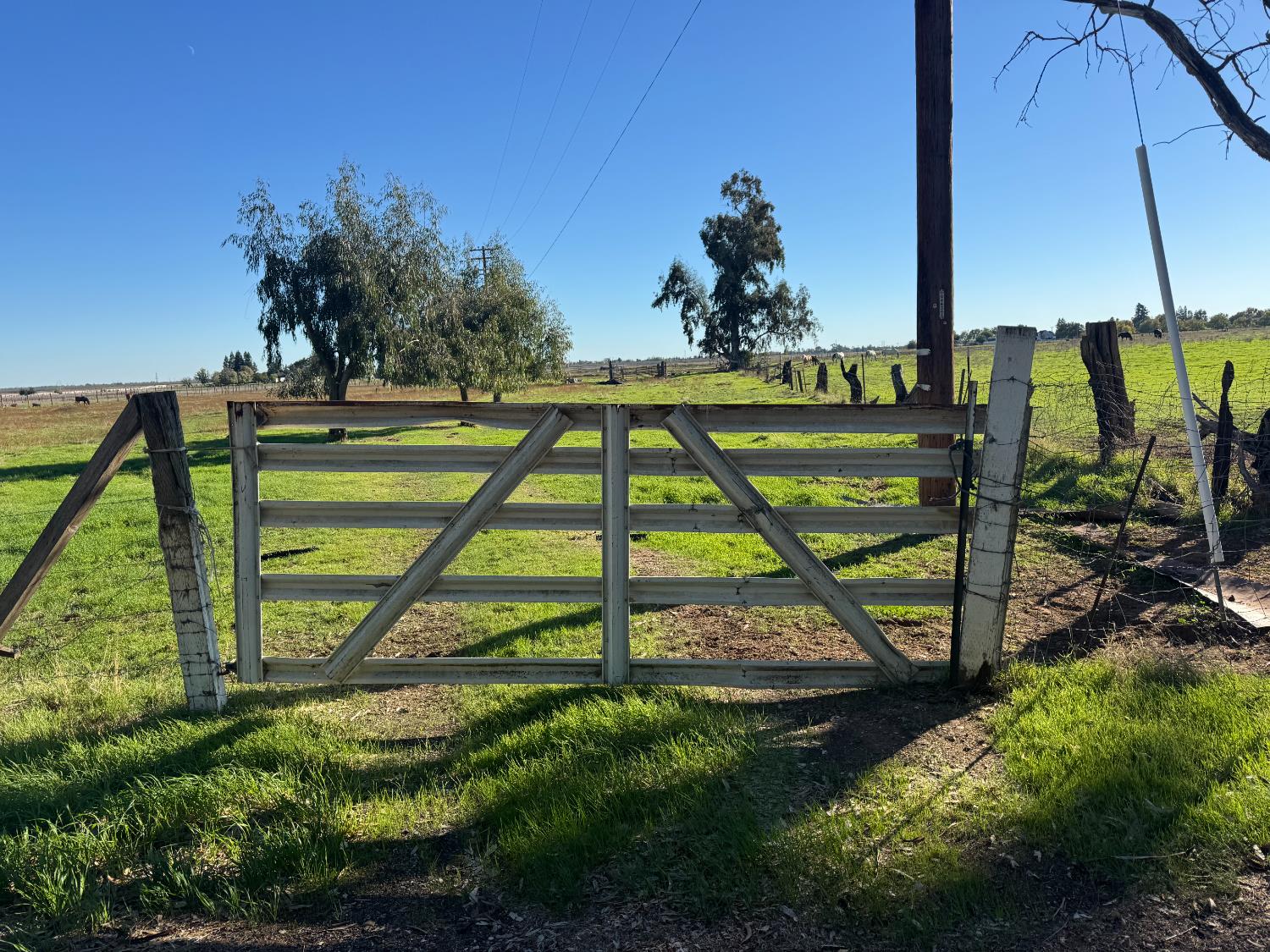 0 Blake Road Wilton, CA 95693 - Photo 4 of 10