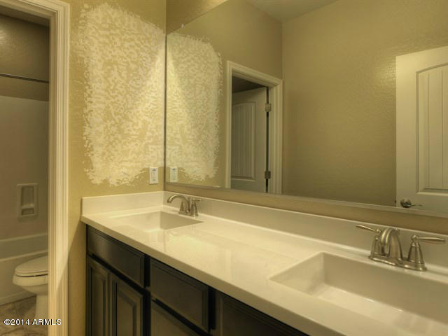 1438 East Warbler Road Gilbert, AZ 85297 - Photo 13 of 17 013_Bathroom II