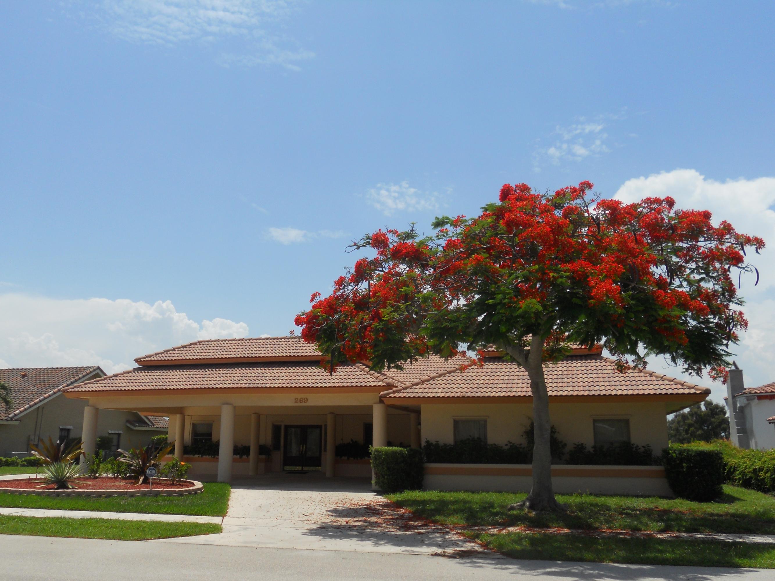 269 Northwest 64th Street Boca Raton, FL 33487 - Photo 1 of 30 2014-06-25 01