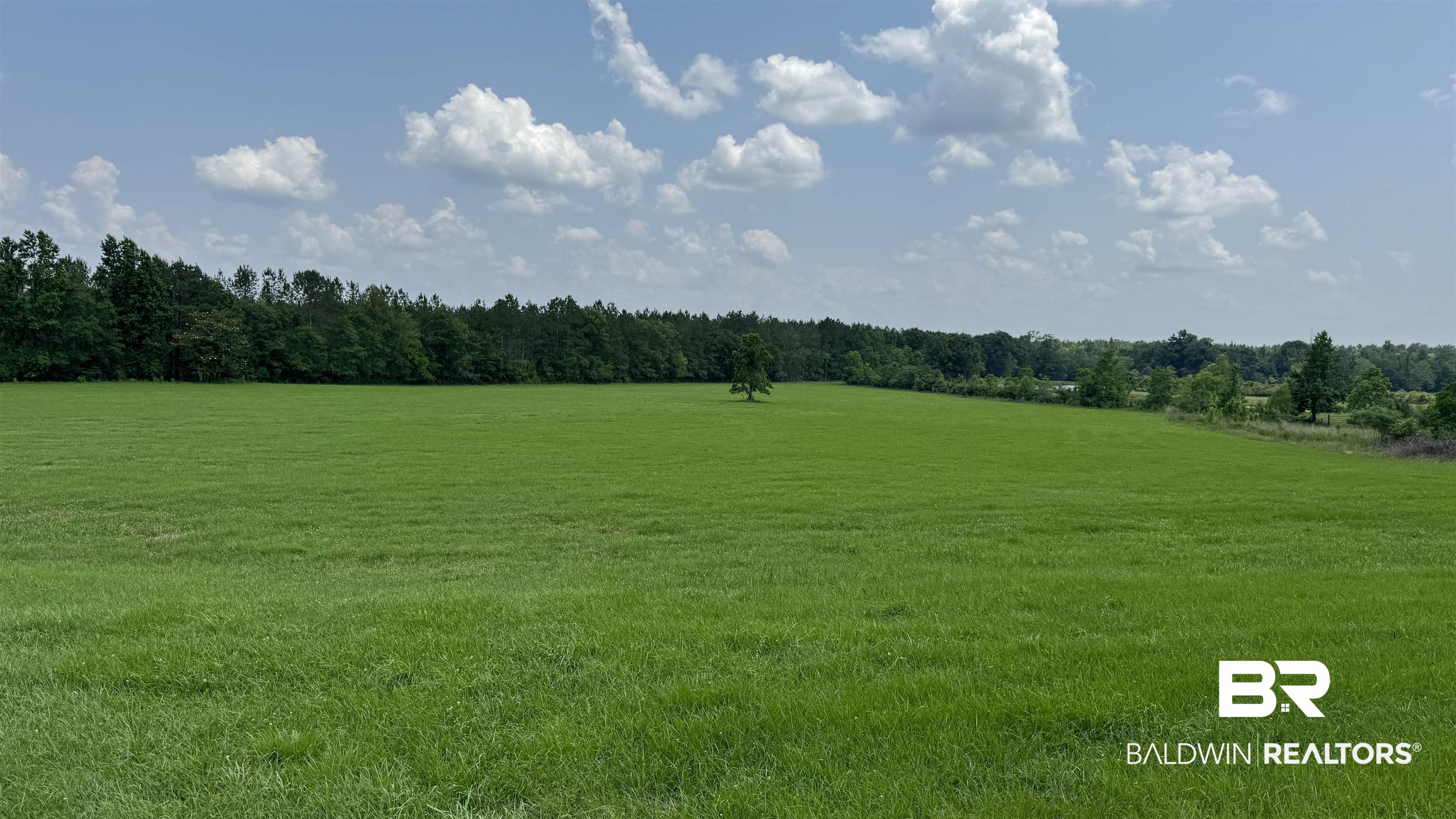 5182 Millry Buckatunna Road Millry, AL 36558 - Photo 47 of 50
