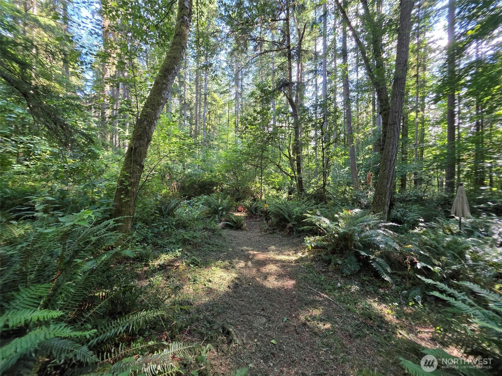 23601 Landers Road Southwest Vashon, WA 98070 - Photo 16 of 21 Gallery Image 16