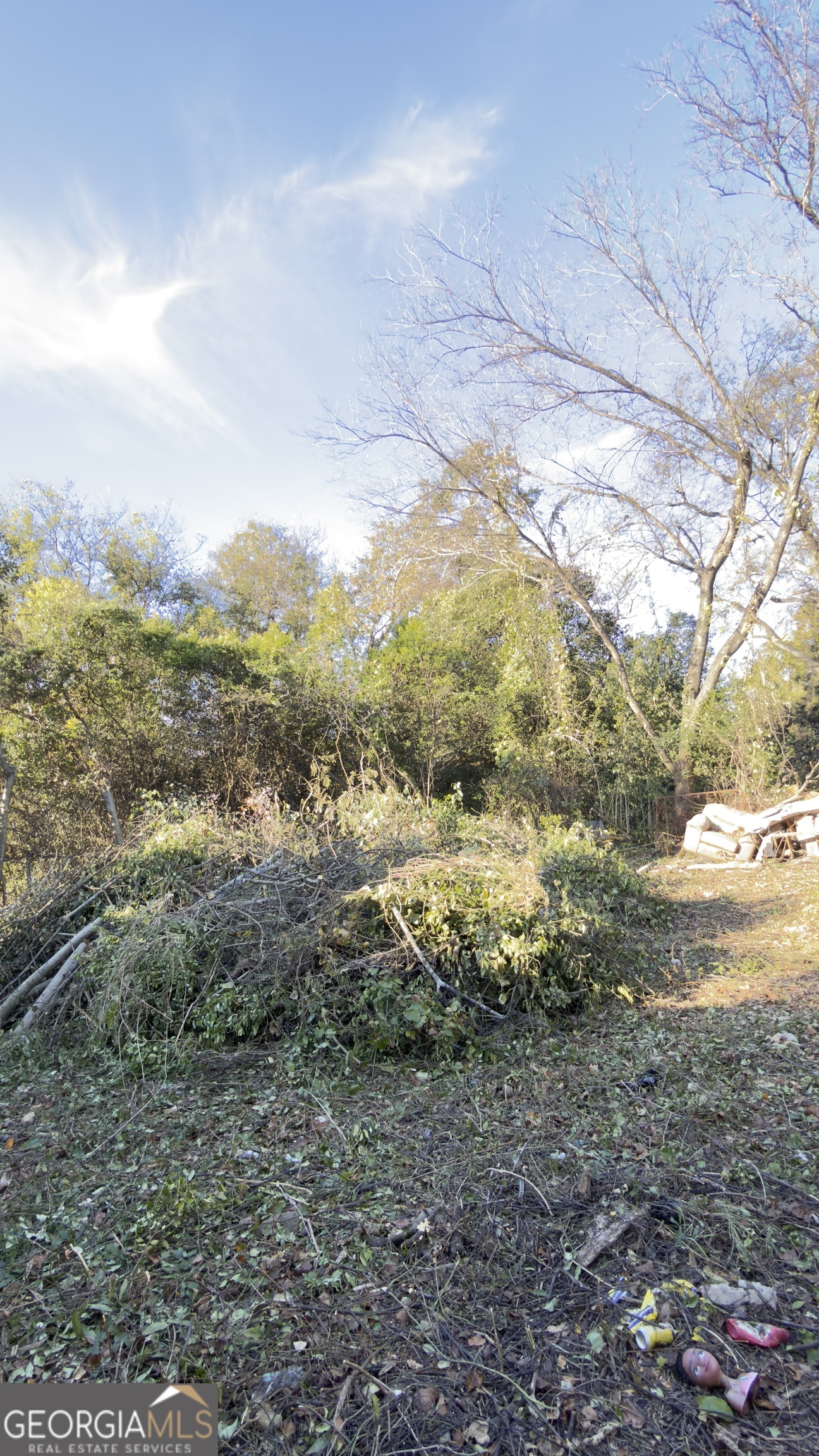 537 Colquitt Street Macon, GA 31206 - Photo 4 of 4 a view of lake view and mountain view