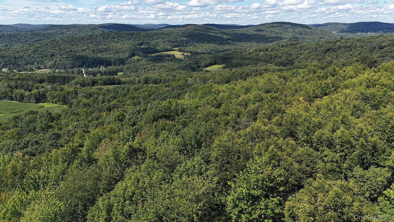 Hammer Road Hankins, NY 12736 - Photo 2 of 29 Drone view