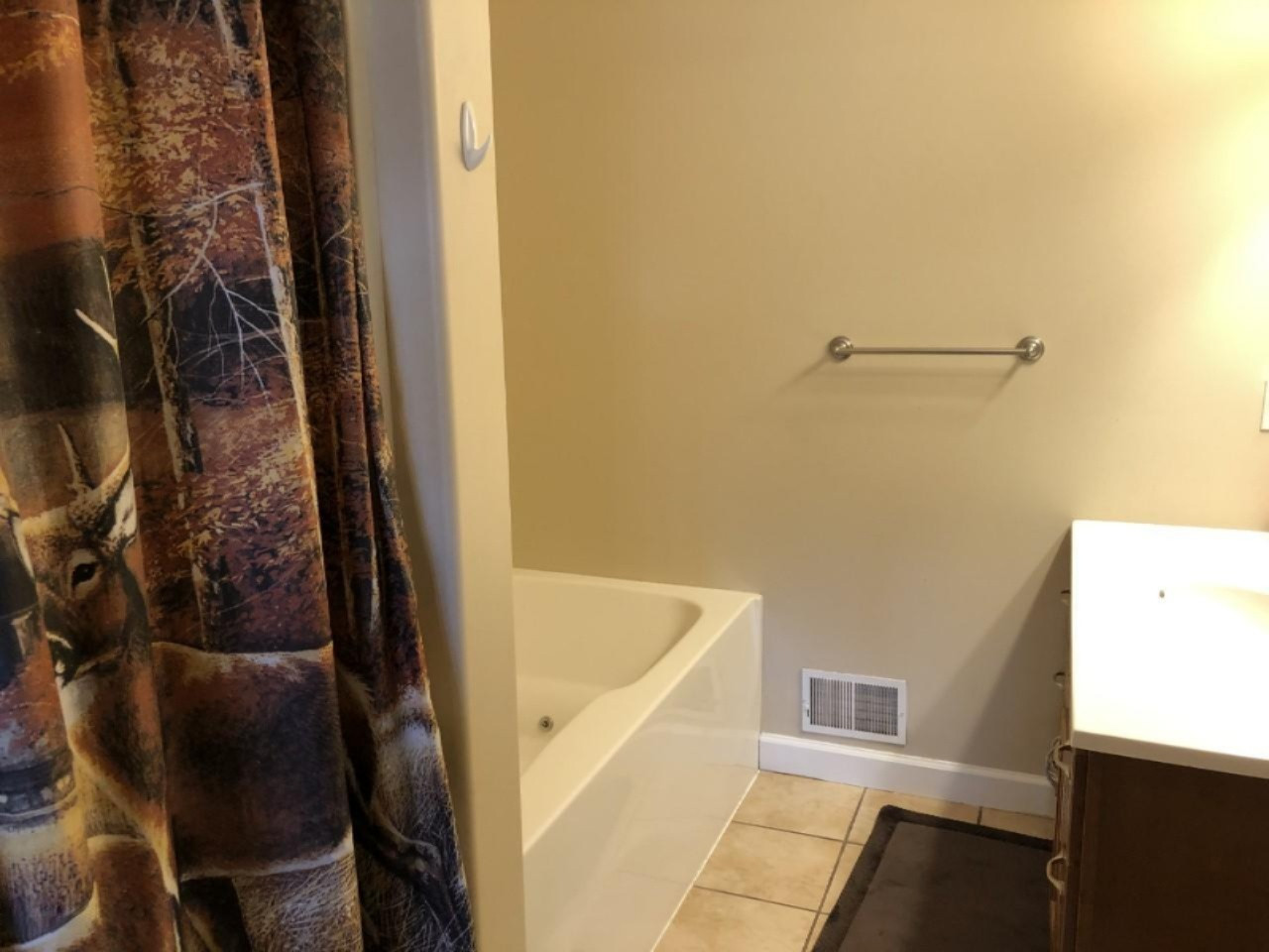 10182 Tamarack Road Lakeview, MI 48850 - Photo 17 of 27 thumbnail_IMG_3858