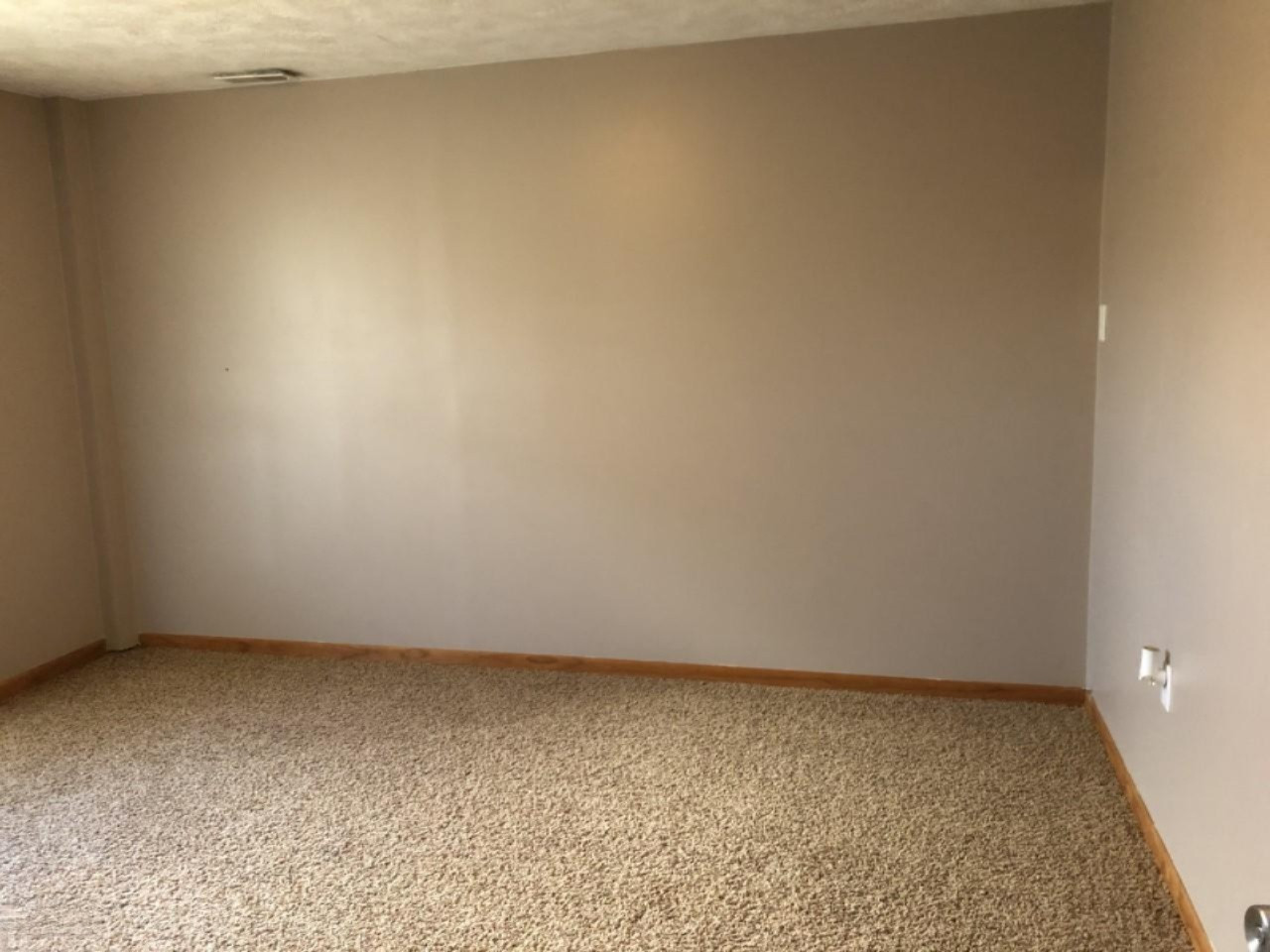 10182 Tamarack Road Lakeview, MI 48850 - Photo 25 of 27 thumbnail_IMG_3845