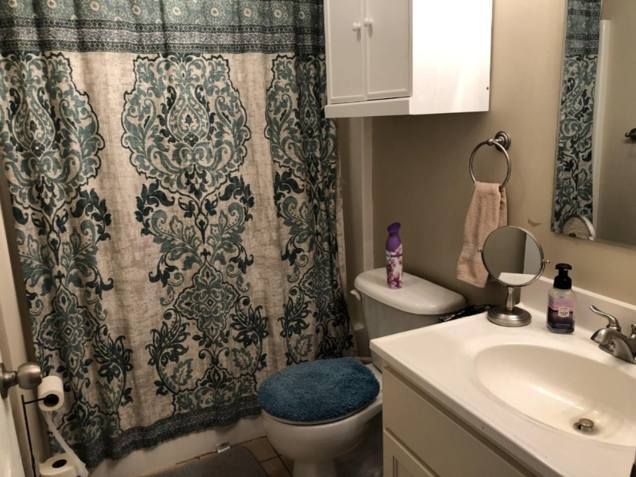 10182 Tamarack Road Lakeview, MI 48850 - Photo 26 of 27 thumbnail_IMG_3848