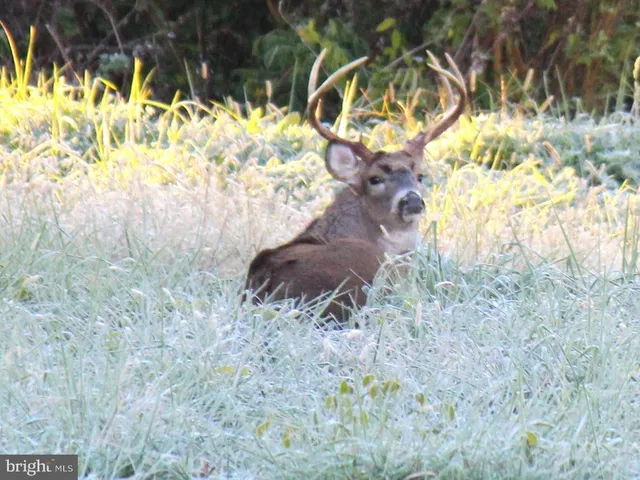 $2,428,725 | 213 Rd Centreville Md 21617 Road, Centreville, MD 21617