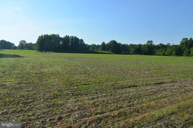 a view of a golf course with a yard