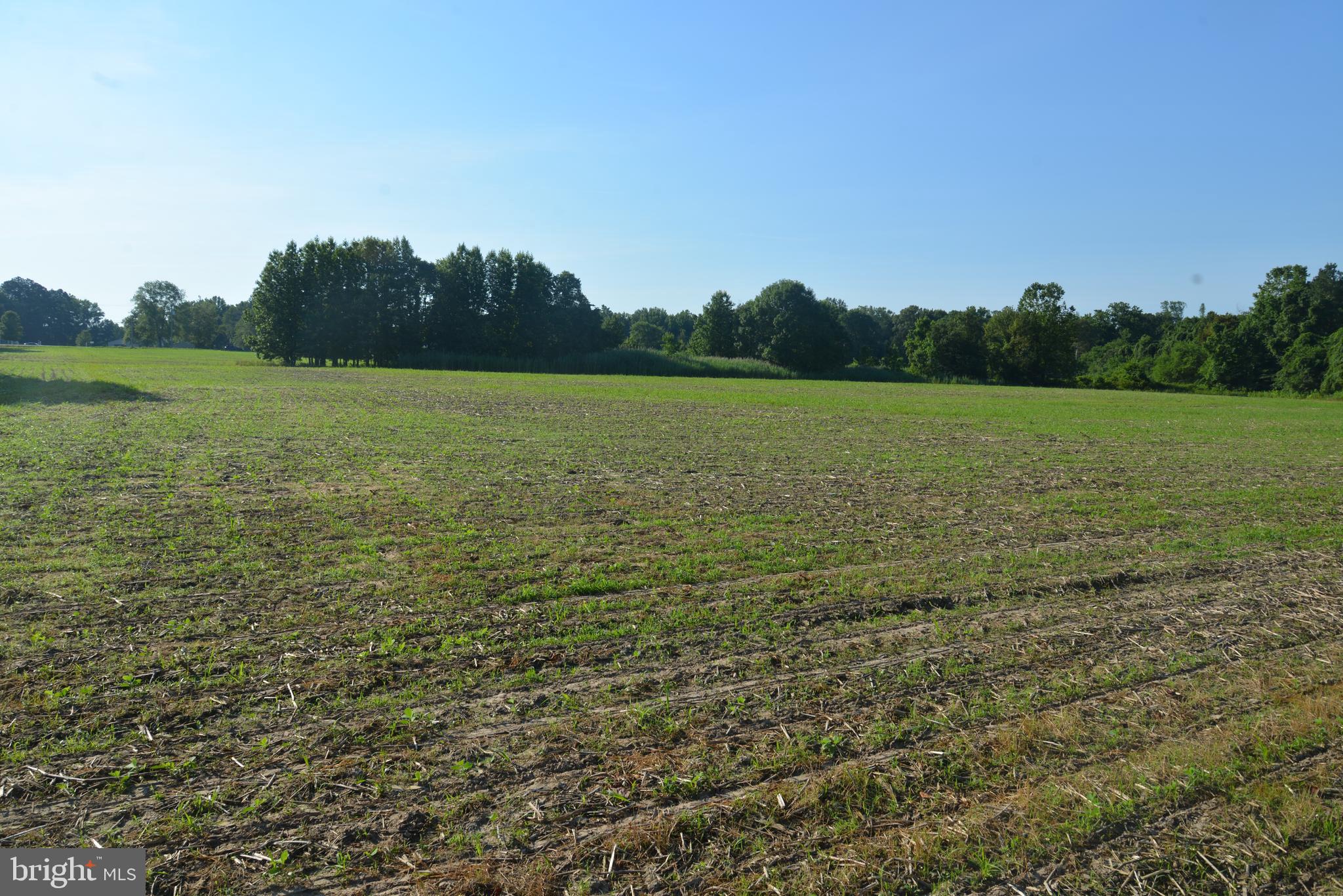 213 Rd Centreville Md 21617 Road Centreville, MD 21617 - Photo 13 of 33 a view of outdoor space and yard