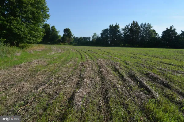 a view of a field with an trees in the background