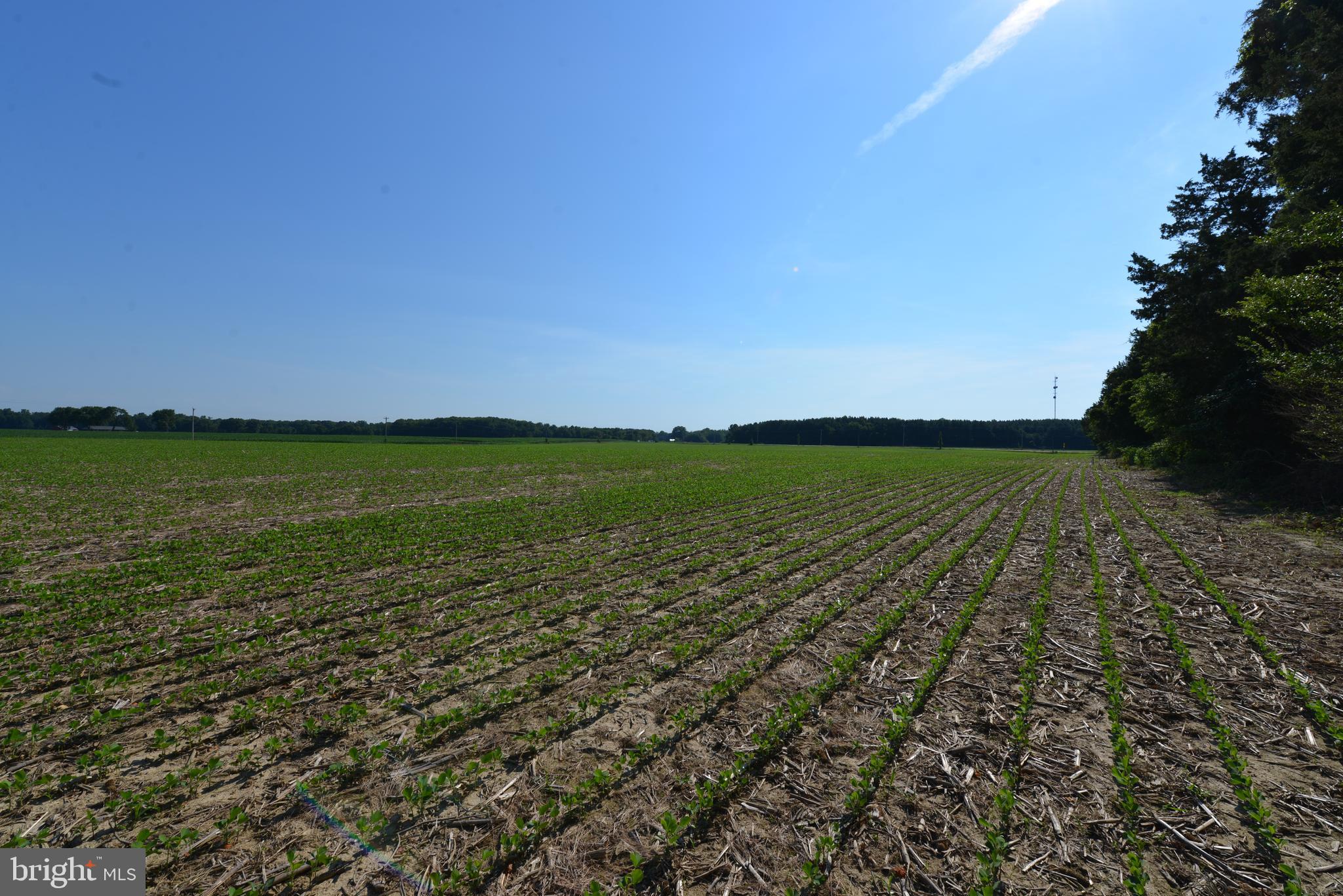213 Rd Centreville Md 21617 Road Centreville, MD 21617 - Photo 28 of 33 a view of an ocean