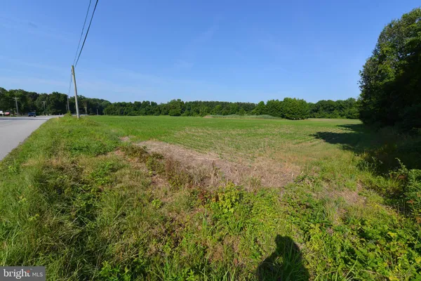 a view of a garden with a lake