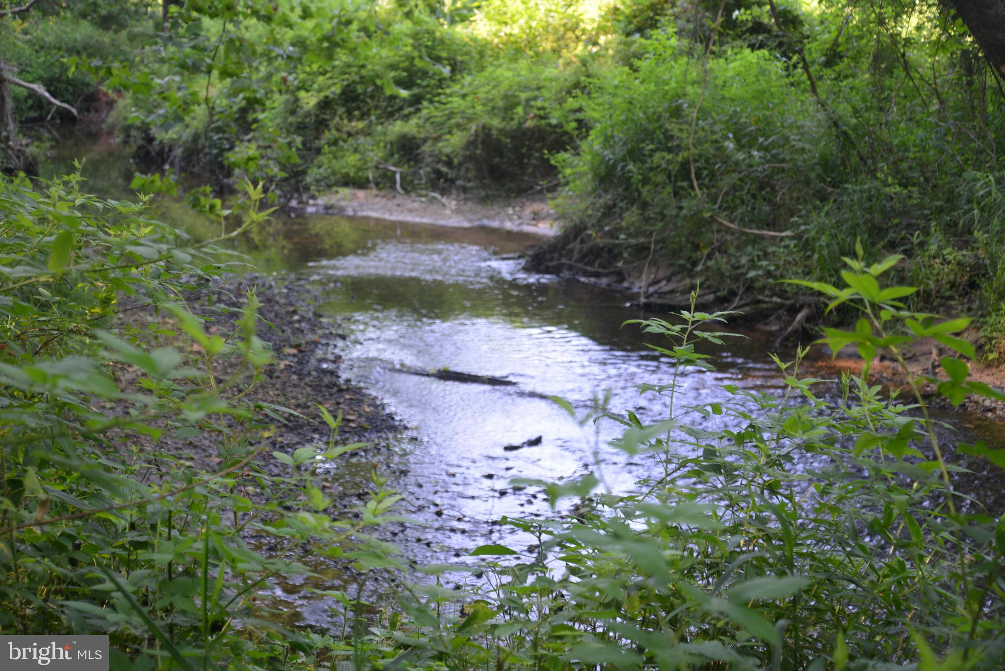 213 Rd Centreville Md 21617 Road Centreville, MD 21617 - Photo 5 of 33 a view of backyard with green space