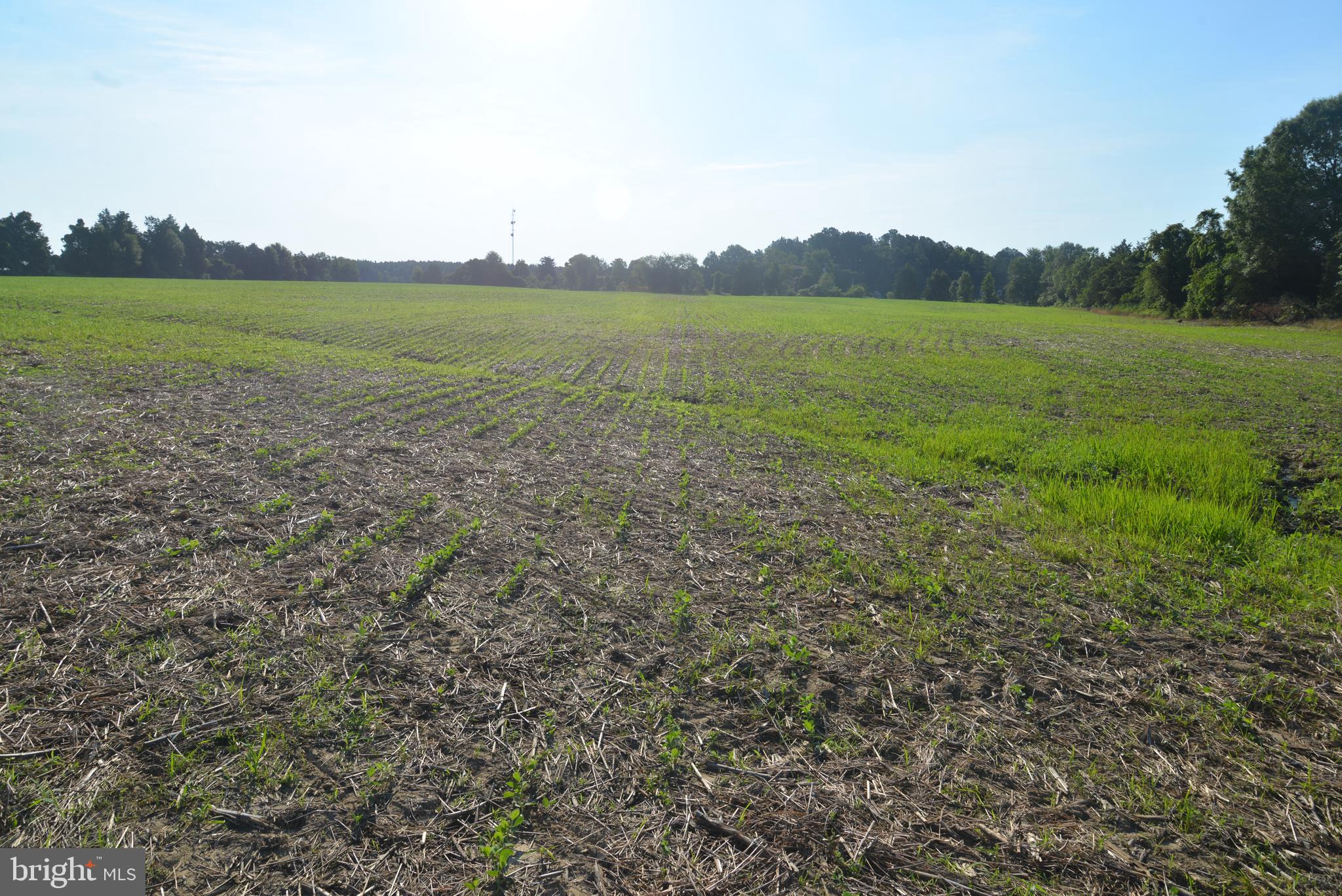 213 Rd Centreville Md 21617 Road Centreville, MD 21617 - Photo 9 of 33 a view of an ocean and a mountain