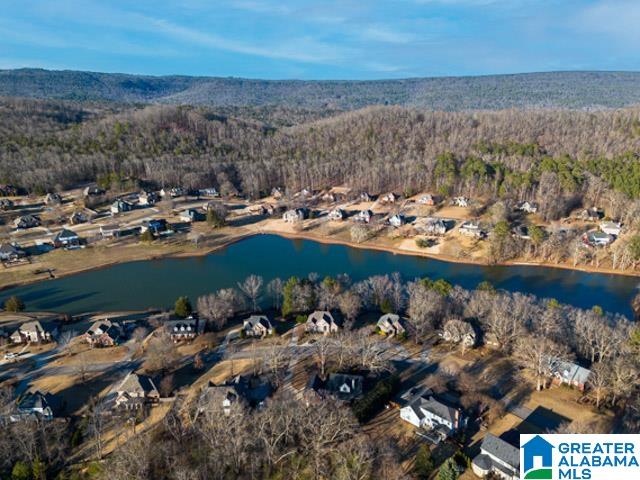 205 Macdonald Court Springville, AL 35146 - Photo 61 of 69