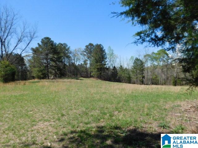 207 County Road 613 Wedowee, AL 36278 - Photo 5 of 11