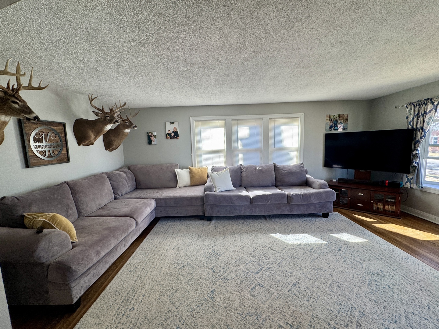 216 South Main Street Sheffield, IL 61361 - Photo 3 of 28 a living room with furniture and a flat screen tv