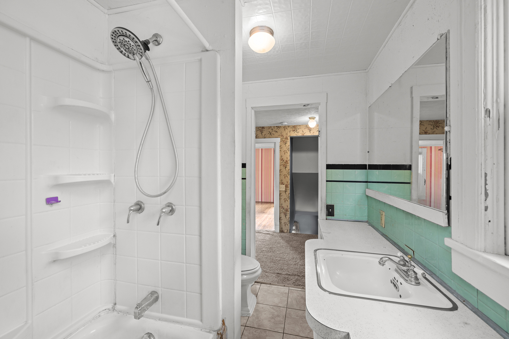 802 North High Street Port Byron, IL 61275 - Photo 39 of 43 a bathroom with a sink a toilet and shower