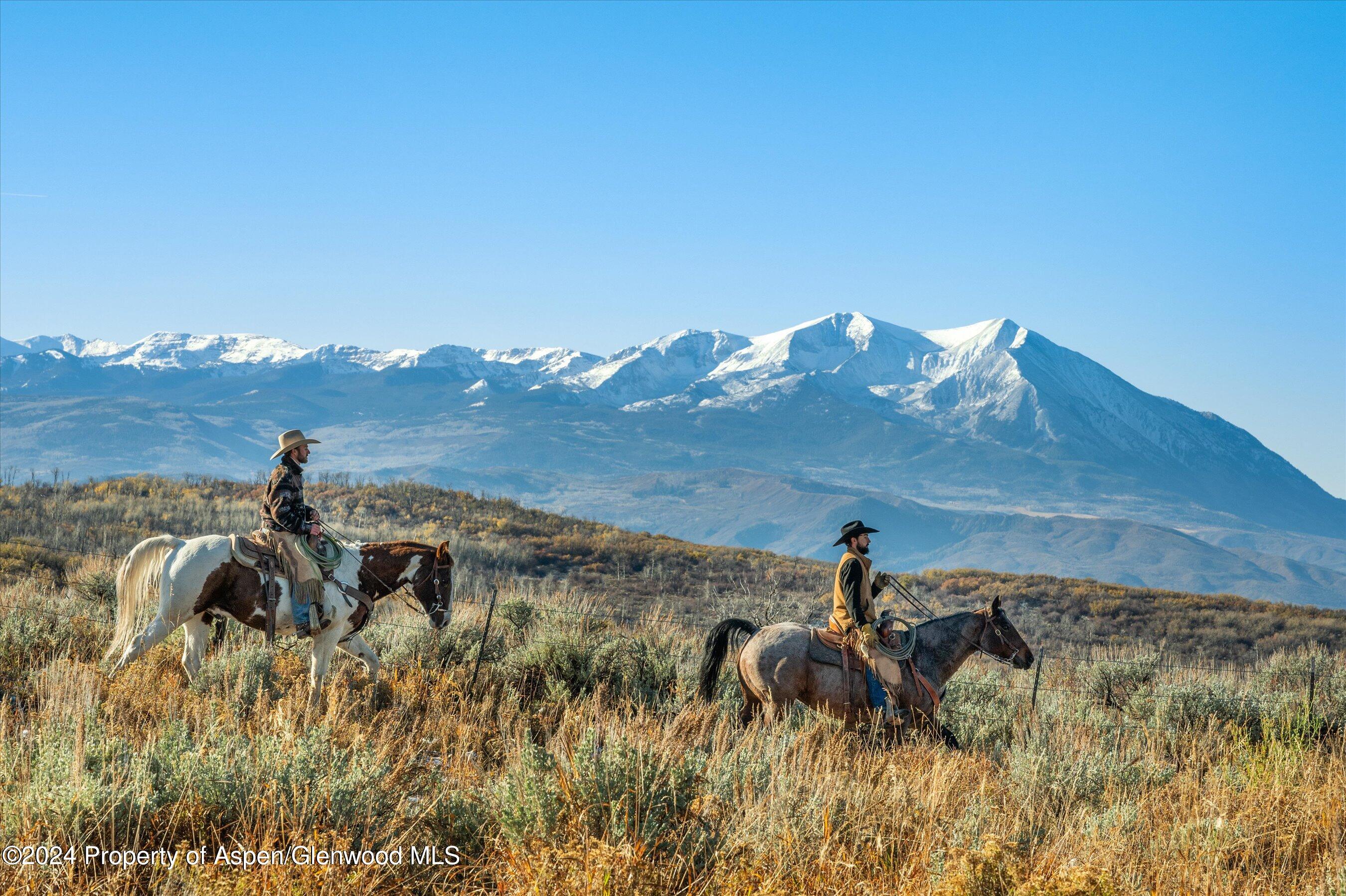 6800 Upper Cattle Creek Road Carbondale, CO 81623 - Photo 15 of 63 017-MB8_5344