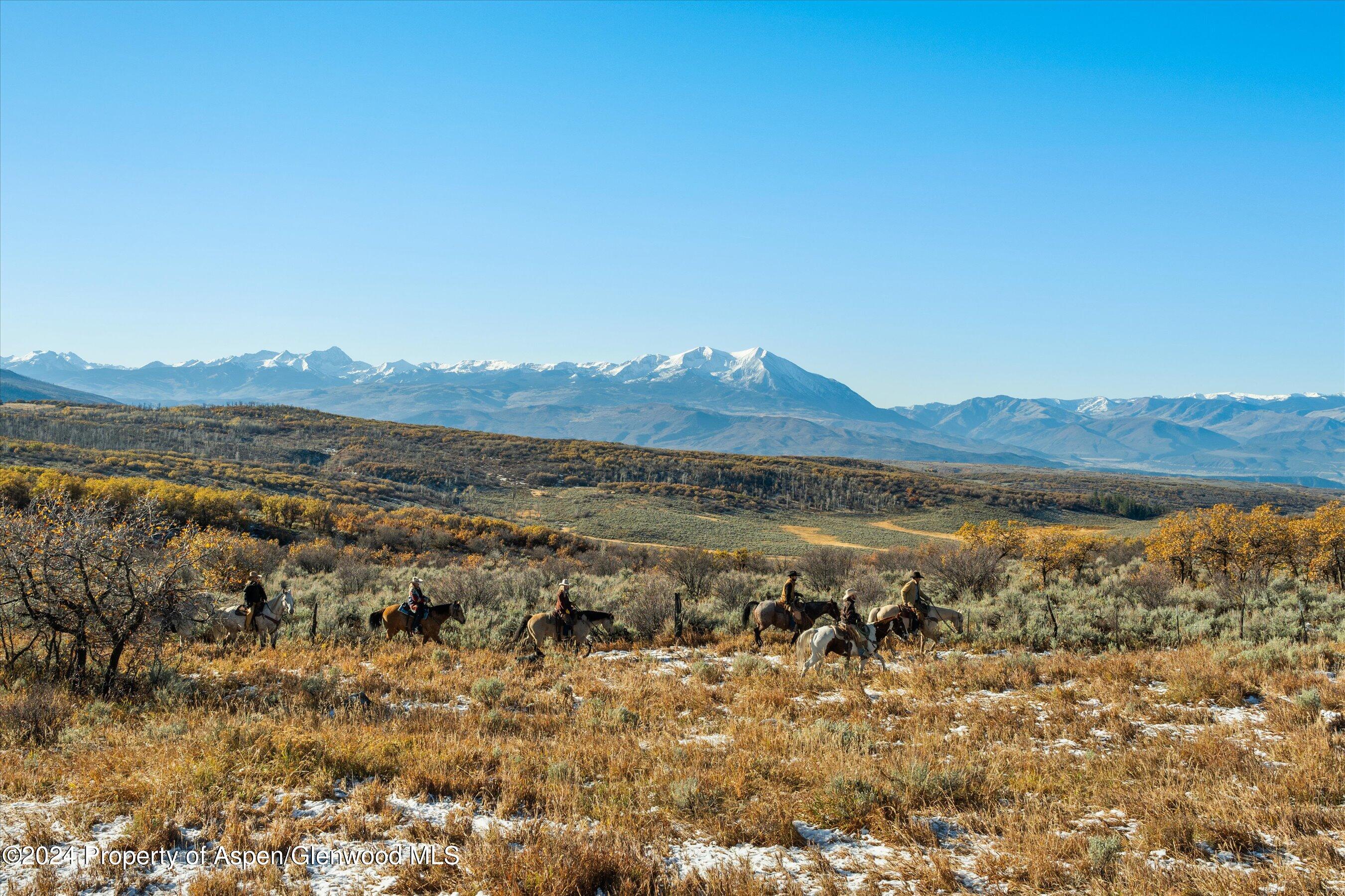 6800 Upper Cattle Creek Road Carbondale, CO 81623 - Photo 16 of 63 018-MB8_5354