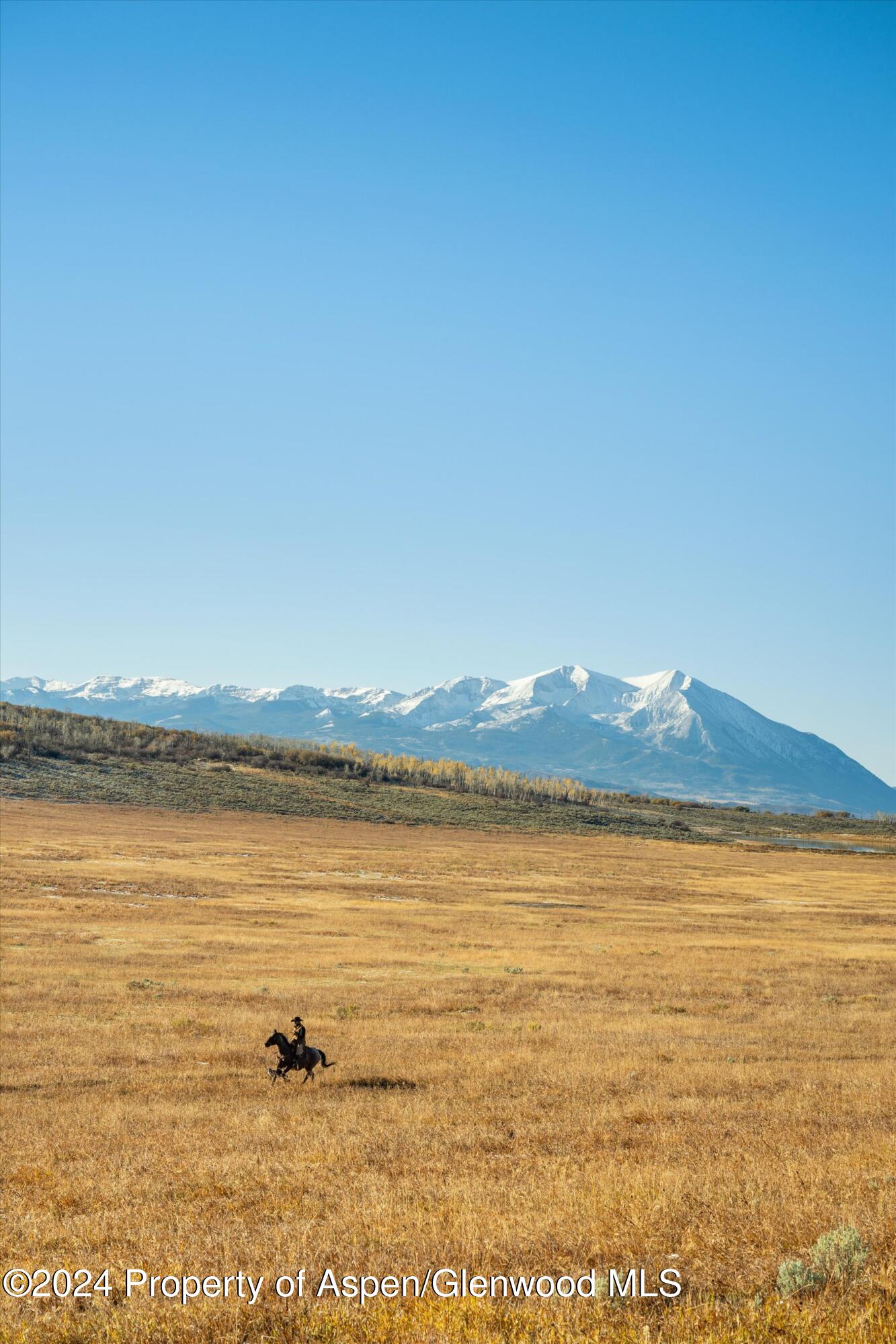 6800 Upper Cattle Creek Road Carbondale, CO 81623 - Photo 19 of 63 011-MB8_5246 - Copy