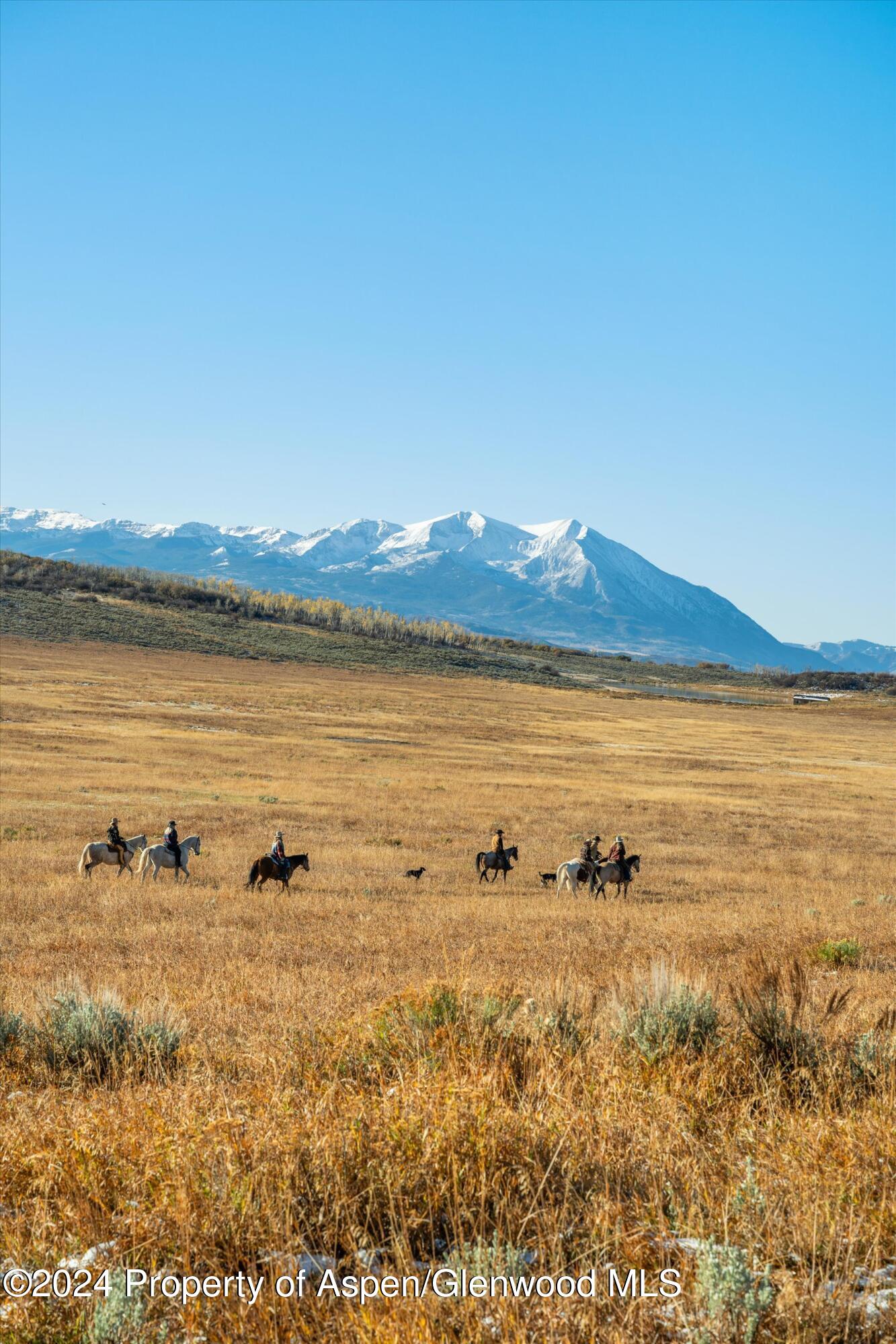 6800 Upper Cattle Creek Road Carbondale, CO 81623 - Photo 20 of 63 042-MB8_5221