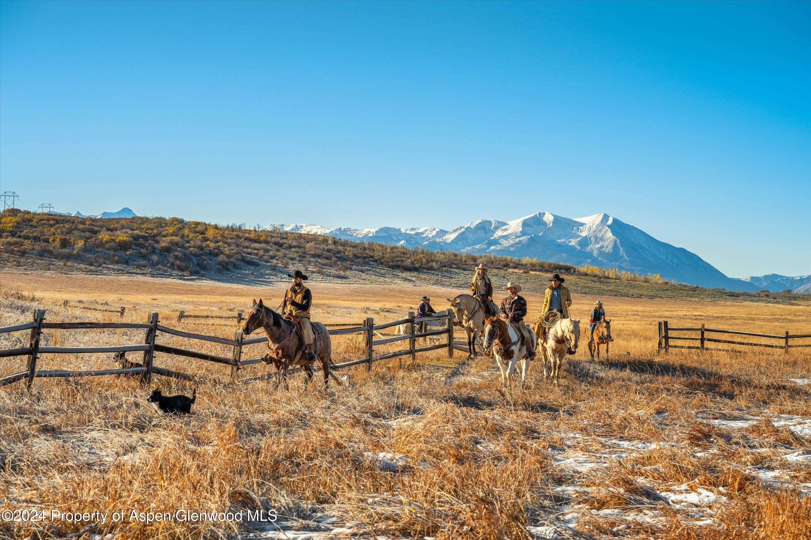 6800 Upper Cattle Creek Road Carbondale, CO 81623 - Photo 26 of 63 039-MB8_5192
