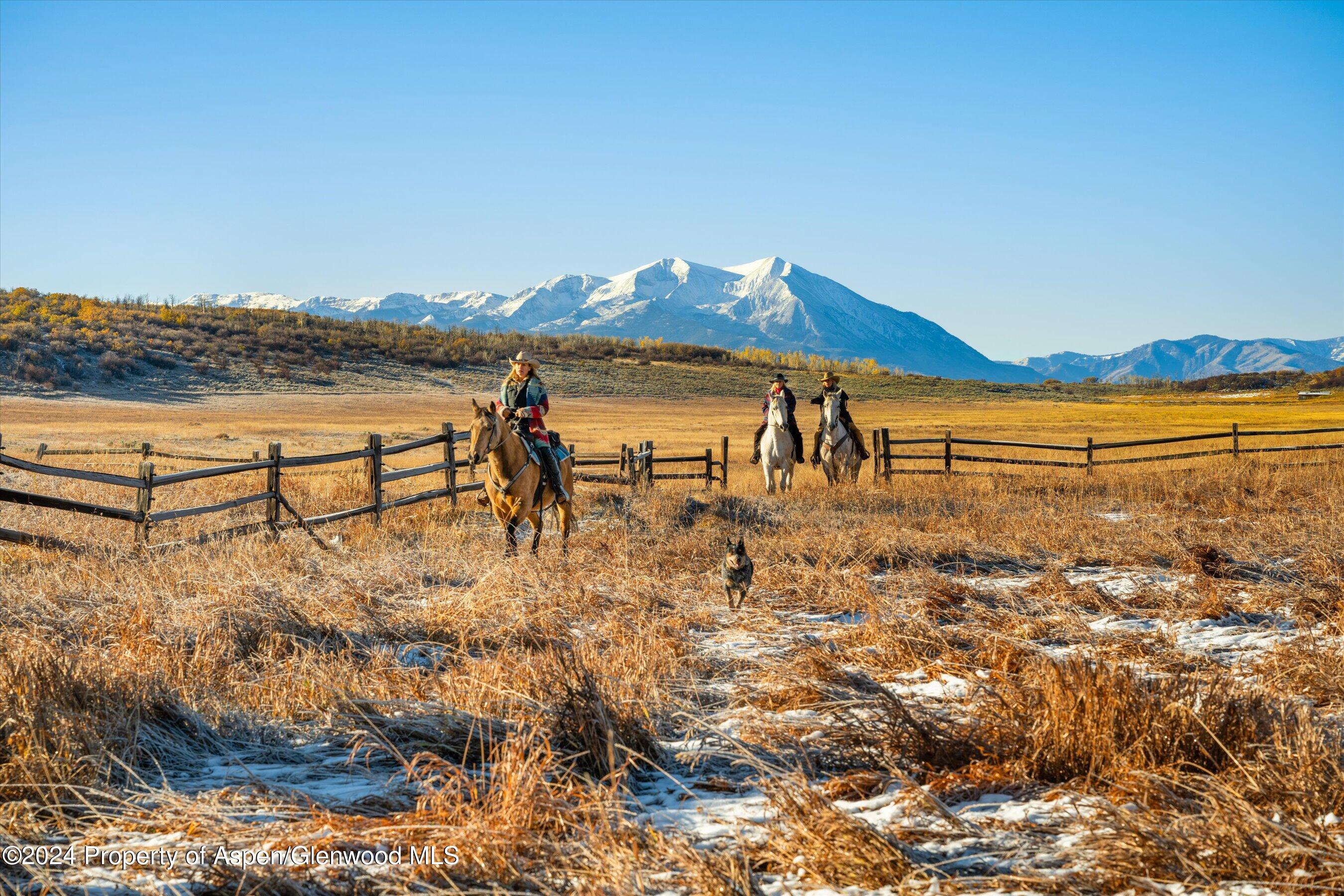 6800 Upper Cattle Creek Road Carbondale, CO 81623 - Photo 27 of 63 040-MB8_5201