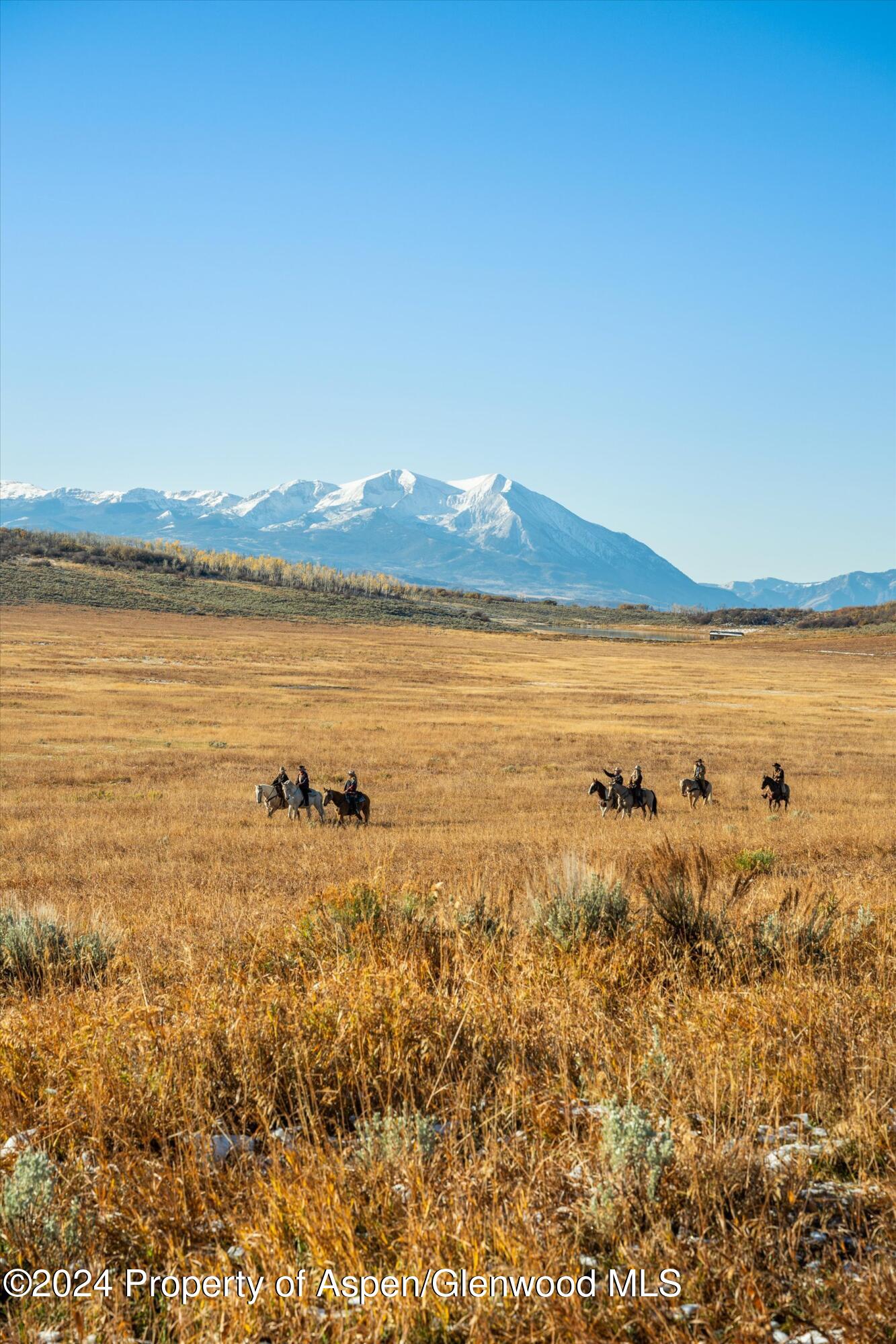 6800 Upper Cattle Creek Road Carbondale, CO 81623 - Photo 28 of 63 043-MB8_5233