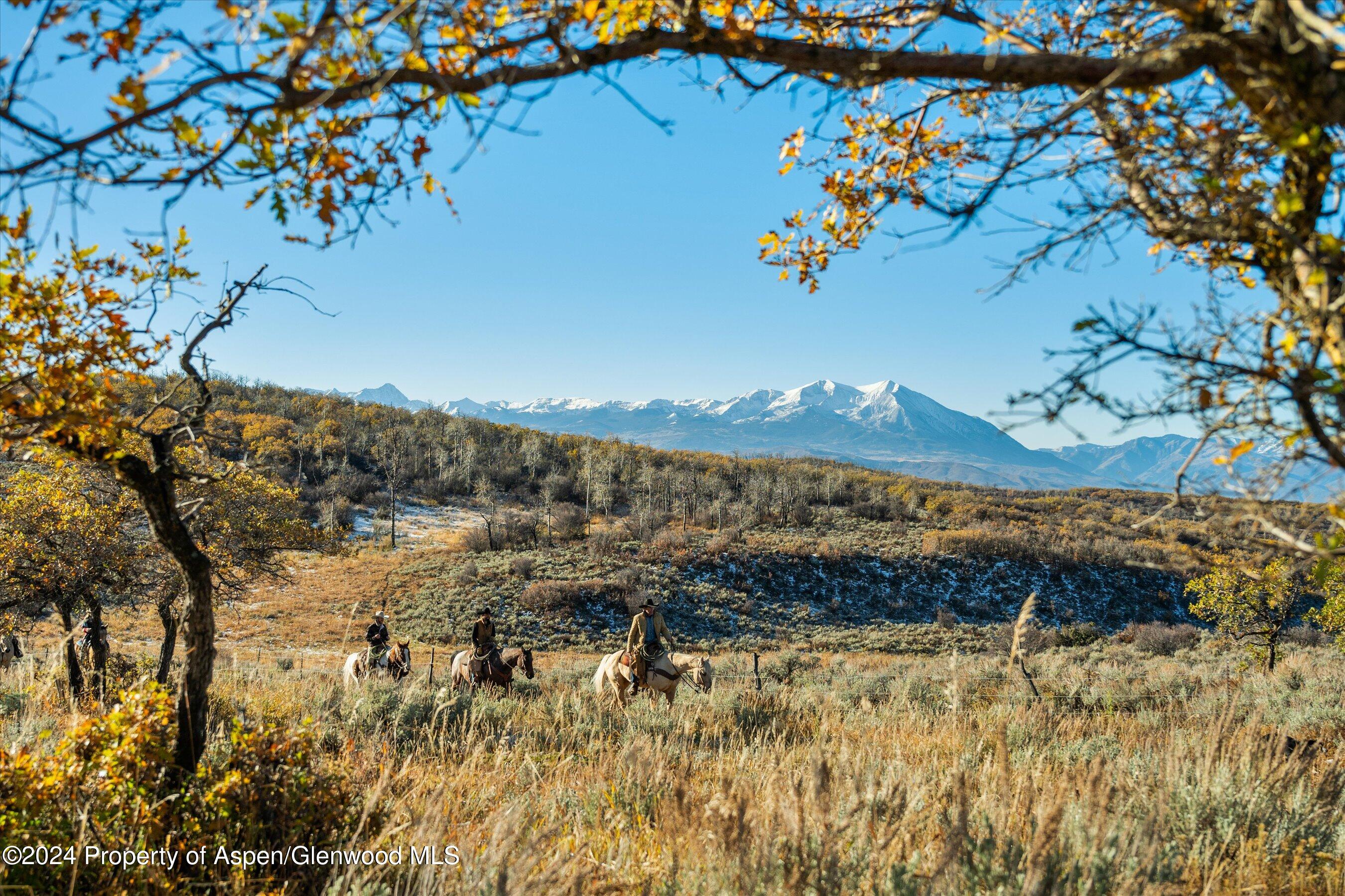 6800 Upper Cattle Creek Road Carbondale, CO 81623 - Photo 30 of 63 046-MB8_5330