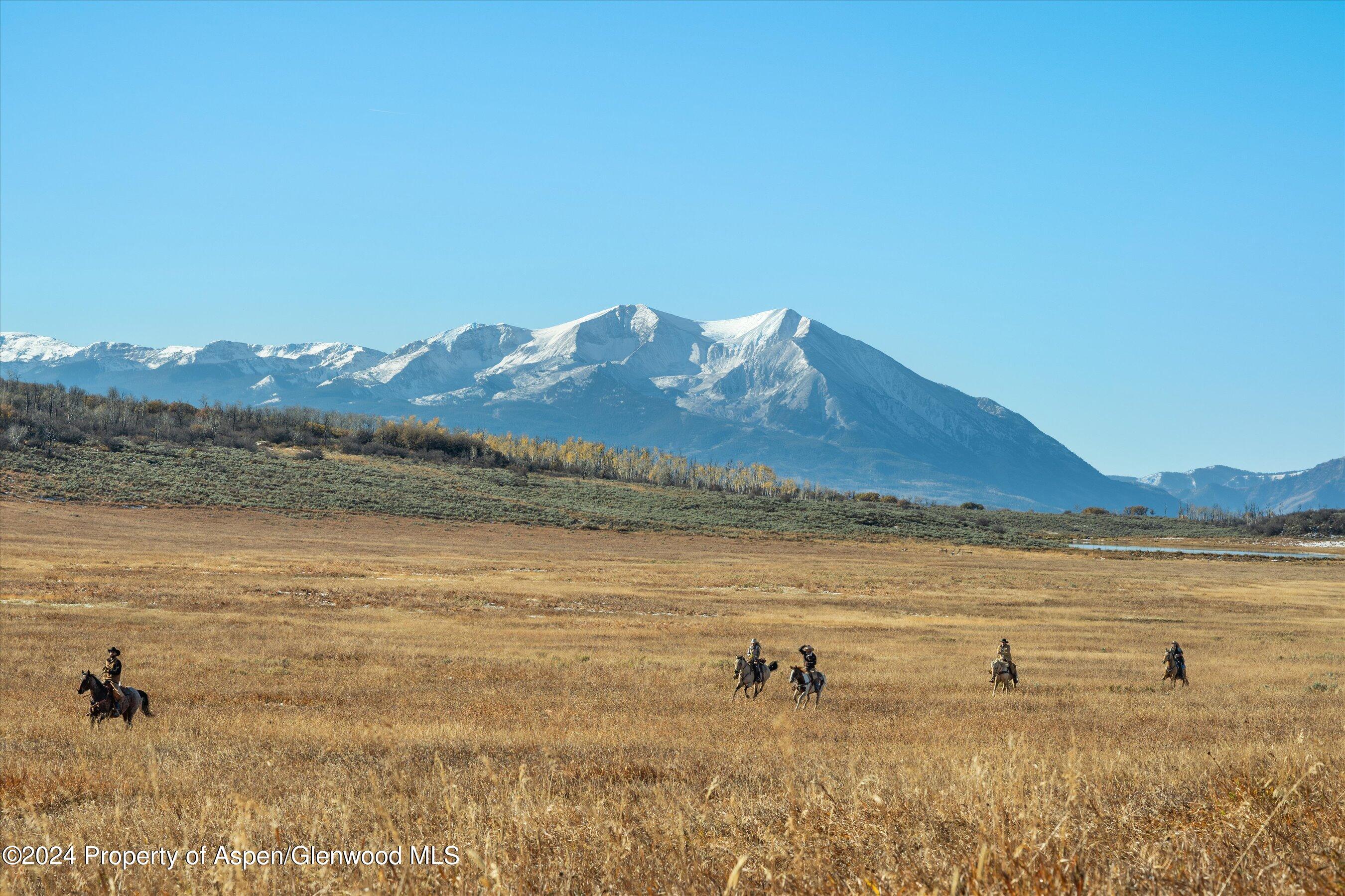 6800 Upper Cattle Creek Road Carbondale, CO 81623 - Photo 31 of 63 047-MB8_5431