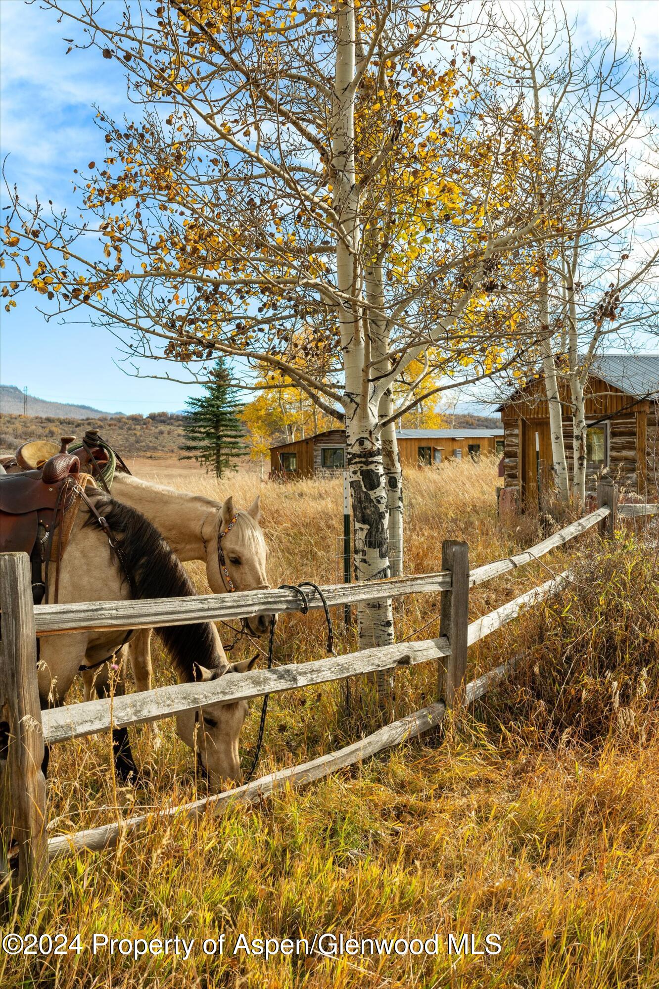 6800 Upper Cattle Creek Road Carbondale, CO 81623 - Photo 43 of 63 071-MB8_5723