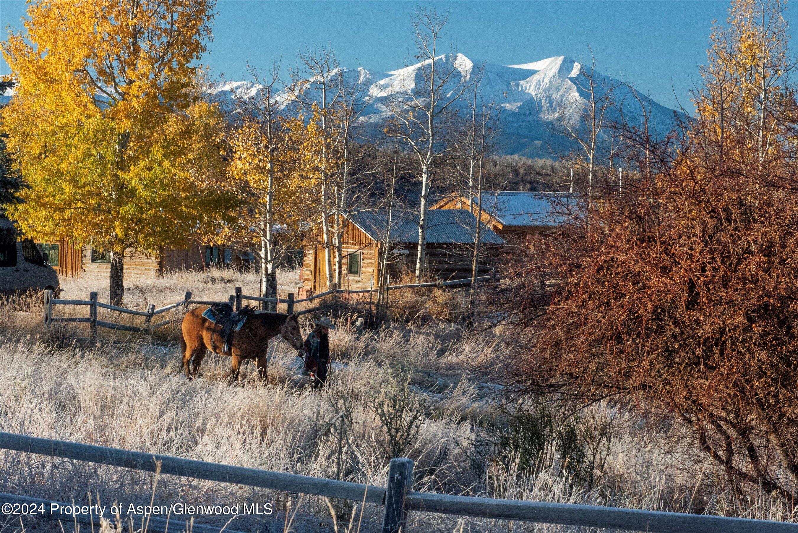 6800 Upper Cattle Creek Road Carbondale, CO 81623 - Photo 50 of 63 089-PET_0292 copy