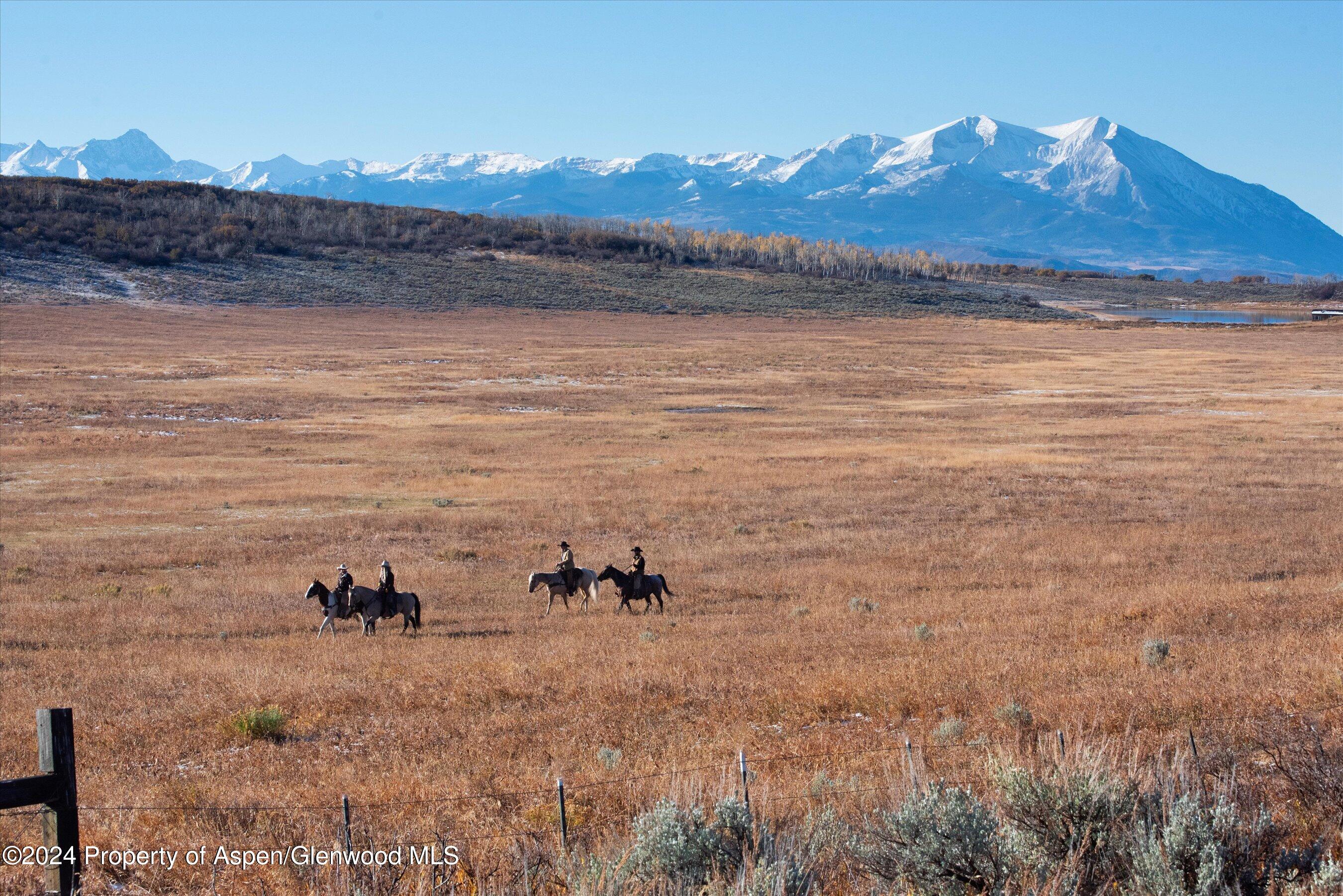 6800 Upper Cattle Creek Road Carbondale, CO 81623 - Photo 55 of 63 104-PET_0465 copy