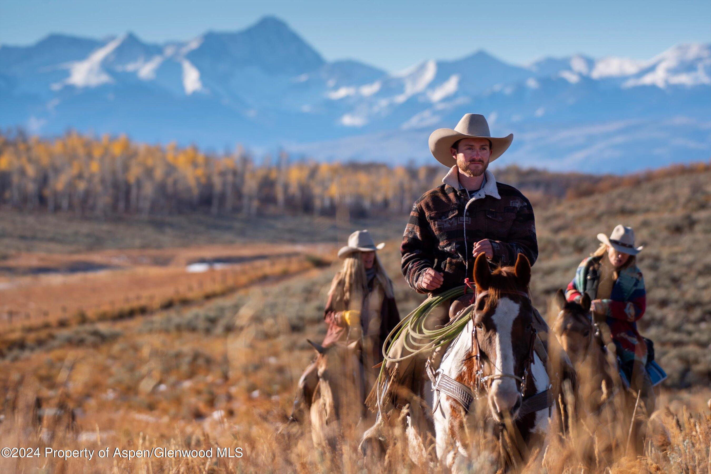 6800 Upper Cattle Creek Road Carbondale, CO 81623 - Photo 58 of 63 112-PET_0527 copy - Copy