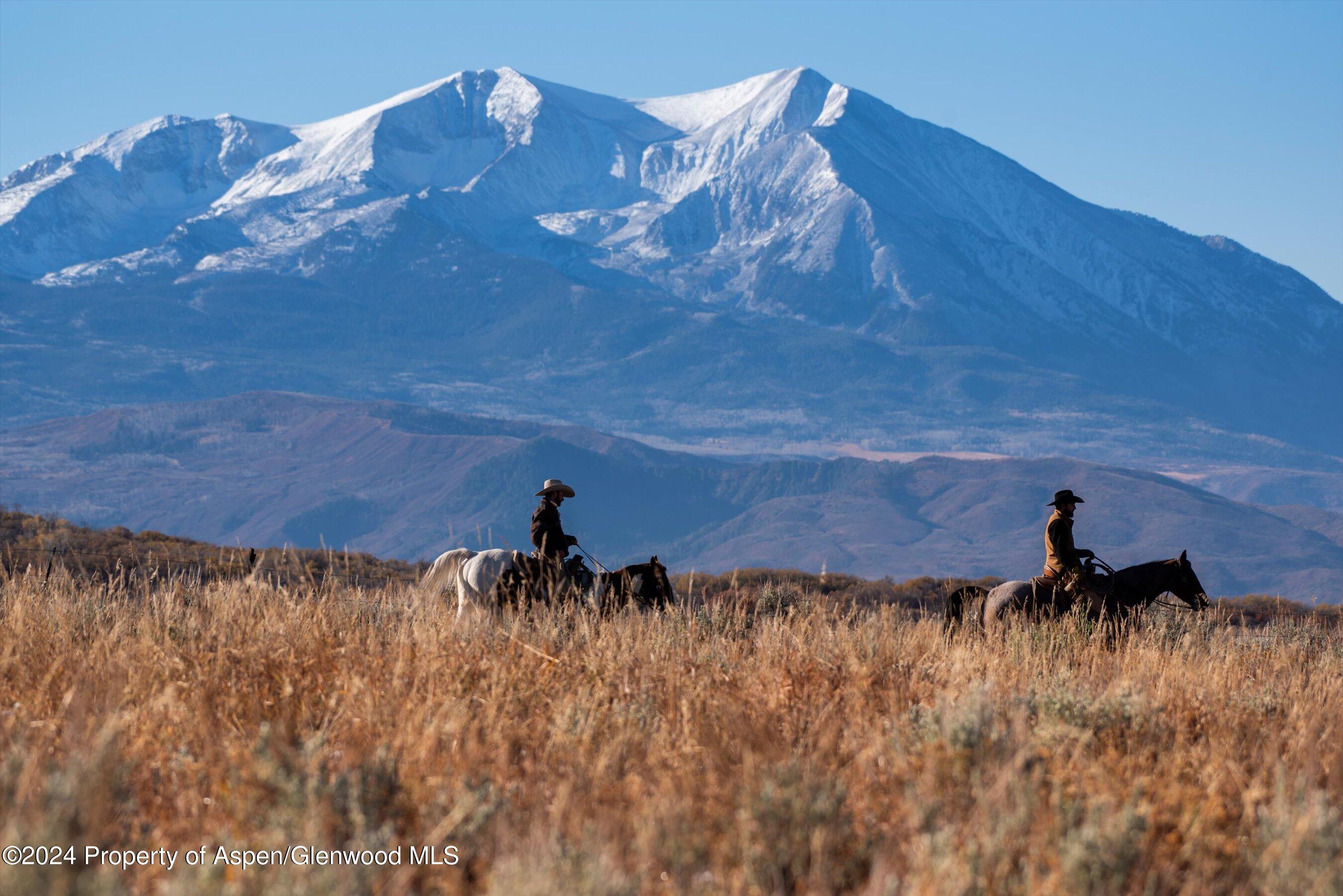 6800 Upper Cattle Creek Road Carbondale, CO 81623 - Photo 59 of 63 115-PET_0554 copy - Copy